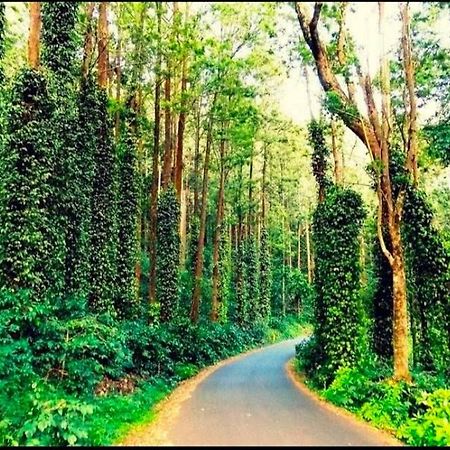 Sp Resort Inn Yercaud Exterior photo